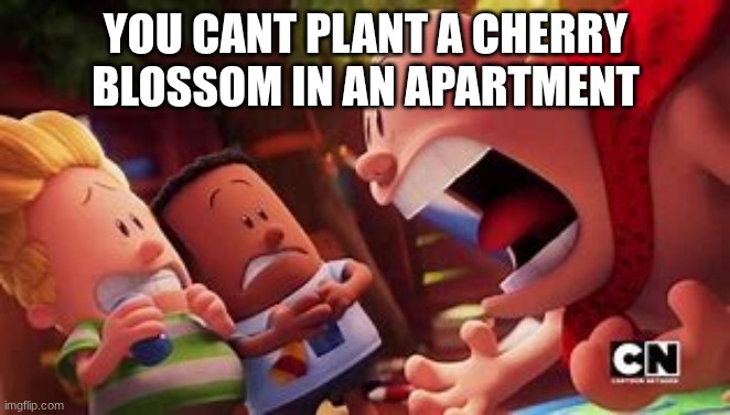 captain underpants yelling | YOU CANT PLANT A CHERRY BLOSSOM IN AN APARTMENT | image tagged in captain underpants yelling | made w/ Imgflip meme maker