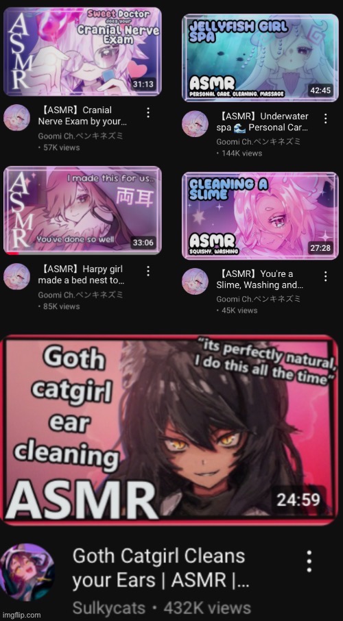 What is asmr even about (I found these and my feed is probably cooked) | image tagged in msmg | made w/ Imgflip meme maker