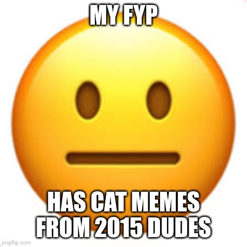Not funny | MY FYP HAS CAT MEMES FROM 2015 DUDES | image tagged in not funny | made w/ Imgflip meme maker