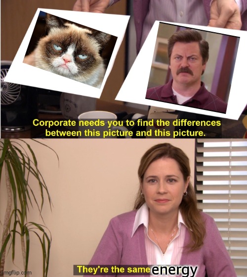 They're The Same Picture Meme | energy | image tagged in memes,they're the same picture,ron swanson,grumpy cat,mood | made w/ Imgflip meme maker