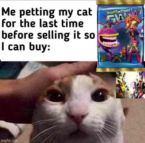 gw | made w/ Imgflip meme maker