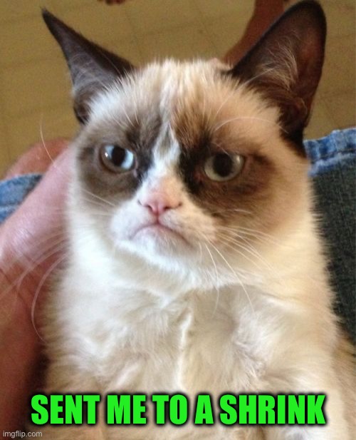 Grumpy Cat Meme | SENT ME TO A SHRINK | image tagged in memes,grumpy cat | made w/ Imgflip meme maker