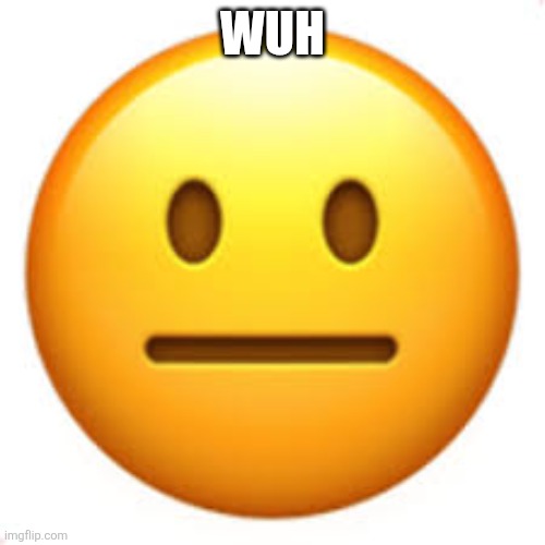 Not funny | WUH | image tagged in not funny | made w/ Imgflip meme maker