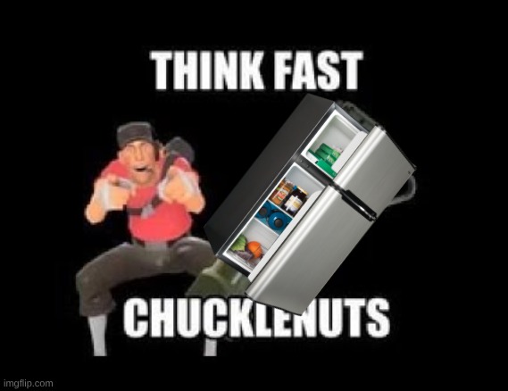 THINK FAST CHUCKLENUTS | image tagged in think fast chucklenuts | made w/ Imgflip meme maker