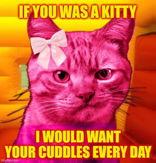 Pink Ray Cat | IF YOU WAS A KITTY; I WOULD WANT YOUR CUDDLES EVERY DAY | image tagged in pink ray cat,kitty,cuddle,pink,i love you,pet me | made w/ Imgflip meme maker