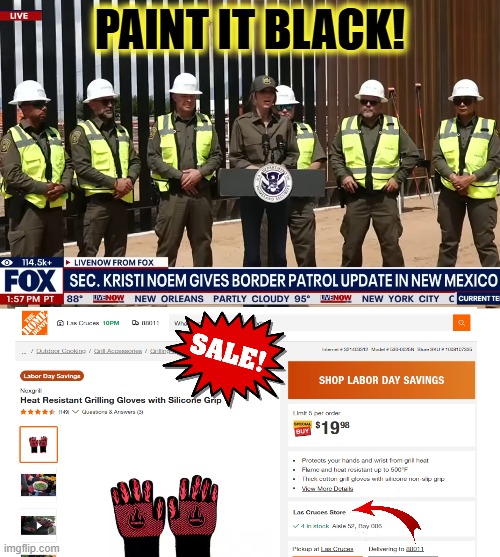 Paint The Wall!  Paint The Wall! | PAINT IT BLACK! | image tagged in build the wall,ice,trump immigration policy,puppy killer,illegal immigrant,advice | made w/ Imgflip meme maker