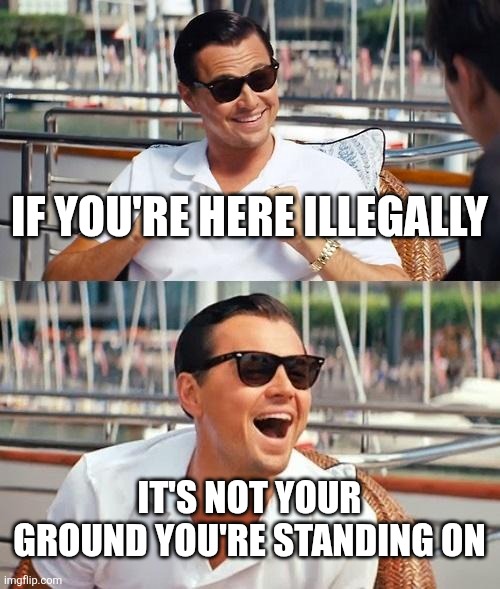 Leonardo Dicaprio Wolf Of Wall Street Meme | IF YOU'RE HERE ILLEGALLY IT'S NOT YOUR GROUND YOU'RE STANDING ON | image tagged in memes,leonardo dicaprio wolf of wall street | made w/ Imgflip meme maker