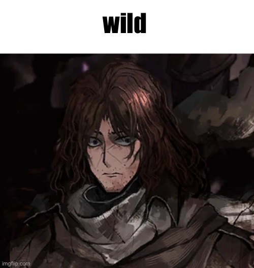Wait this stream is | wild | image tagged in how wild | made w/ Imgflip meme maker