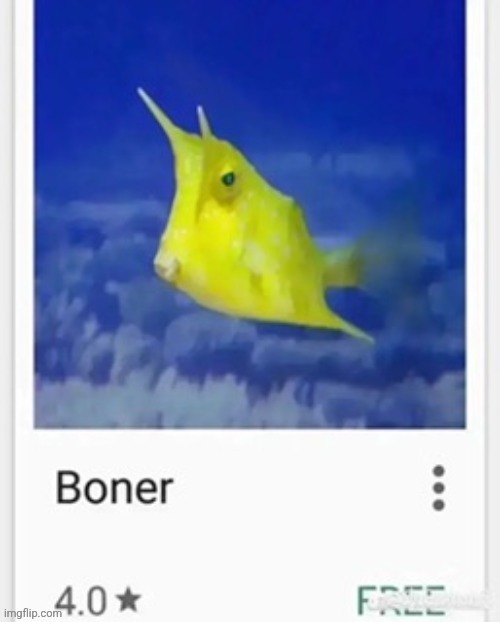 Face reveal | image tagged in boner | made w/ Imgflip meme maker