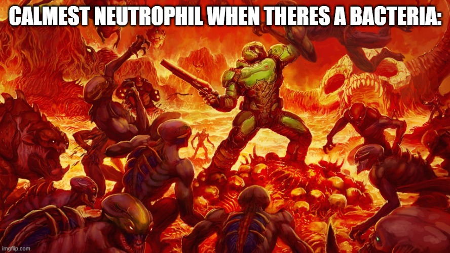 haha immune system go brrr | CALMEST NEUTROPHIL WHEN THERES A BACTERIA: | image tagged in doomguy | made w/ Imgflip meme maker