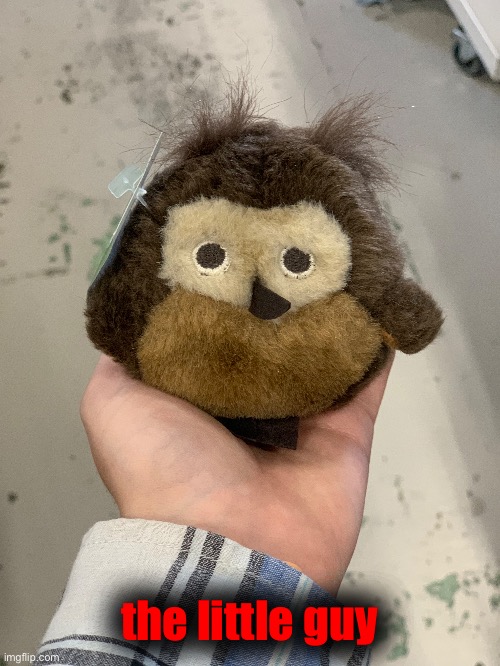 the little guy | made w/ Imgflip meme maker