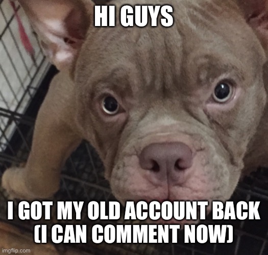 image title | HI GUYS; I GOT MY OLD ACCOUNT BACK
(I CAN COMMENT NOW) | made w/ Imgflip meme maker