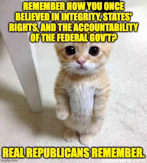 Get well soon. | REMEMBER HOW YOU ONCE
BELIEVED IN INTEGRITY, STATES'
RIGHTS, AND THE ACCOUNTABILITY
OF THE FEDERAL GOV'T? REAL REPUBLICANS REMEMBER. | image tagged in memes,cute cat,integrity,accountability,states rights,get well soon | made w/ Imgflip meme maker