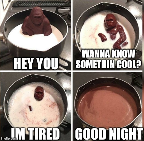 why did i stay up till 5 am | HEY YOU; WANNA KNOW SOMETHIN COOL? GOOD NIGHT; IM TIRED | image tagged in hey kid i don't have much time | made w/ Imgflip meme maker
