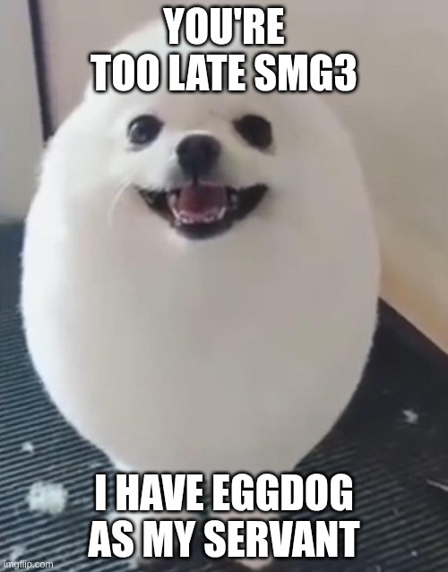 meme #7 | YOU'RE TOO LATE SMG3; I HAVE EGGDOG AS MY SERVANT | image tagged in eggdog | made w/ Imgflip meme maker
