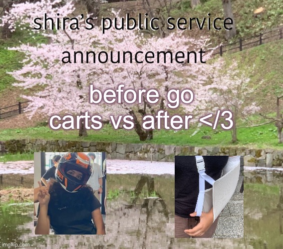 shira’s PSA | before go carts vs after </3 | image tagged in shira s psa | made w/ Imgflip meme maker