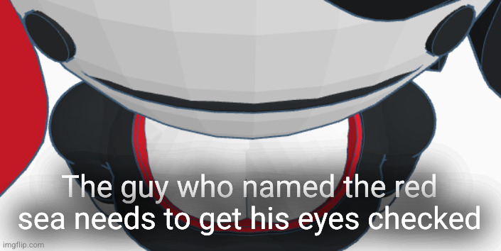 stupid | The guy who named the red sea needs to get his eyes checked | image tagged in stupid | made w/ Imgflip meme maker