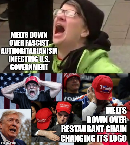 Of the two, whom is the more childish? | MELTS DOWN
OVER FASCIST
AUTHORITARIANISM
INFECTING U.S.
GOVERNMENT; MELTS
DOWN OVER
RESTAURANT CHAIN
CHANGING ITS LOGO | image tagged in screaming liberal,maga tears | made w/ Imgflip meme maker