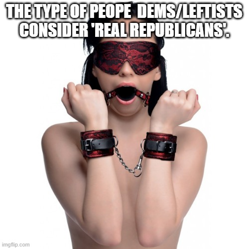 Cuffs, ball gag, blindfold | THE TYPE OF PEOPE  DEMS/LEFTISTS CONSIDER 'REAL REPUBLICANS'. | image tagged in cuffs ball gag blindfold | made w/ Imgflip meme maker