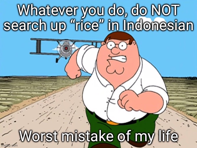 PLEASE DON’T | Whatever you do, do NOT search up “rice” in Indonesian; Worst mistake of my life | image tagged in peter griffin running away | made w/ Imgflip meme maker