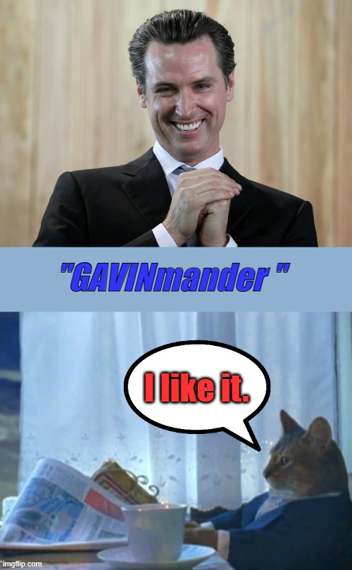 "GAVINmander "; I like it. | image tagged in scheming gavin newsom,memes,i should buy a boat cat | made w/ Imgflip meme maker