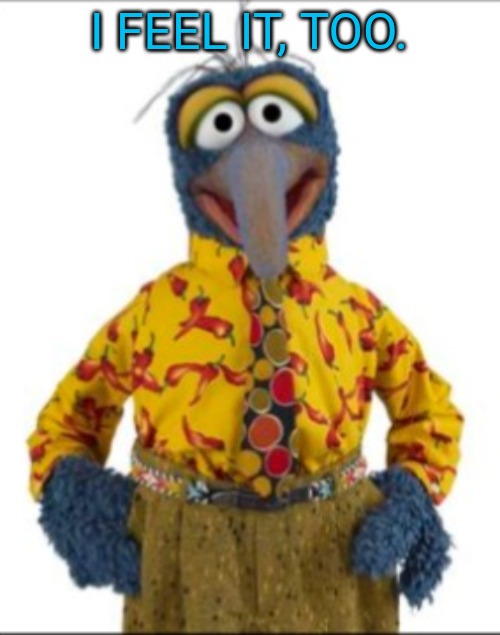 Gonzo | I FEEL IT, TOO. | image tagged in gonzo | made w/ Imgflip meme maker