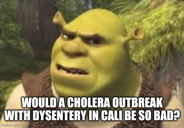 Confused shrek | WOULD A CHOLERA OUTBREAK WITH DYSENTERY IN CALI BE SO BAD? | image tagged in confused shrek | made w/ Imgflip meme maker