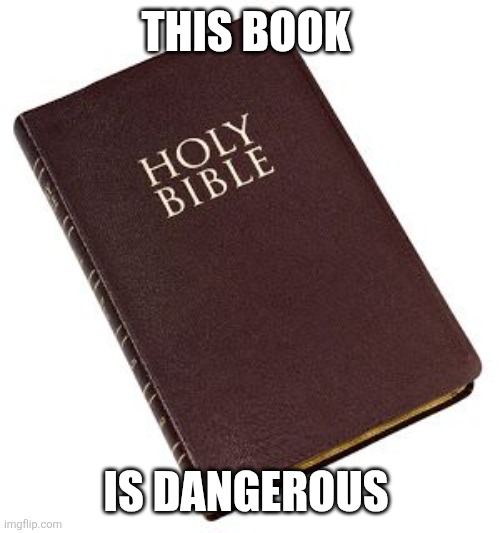 Holy Bible | THIS BOOK IS DANGEROUS | image tagged in holy bible | made w/ Imgflip meme maker