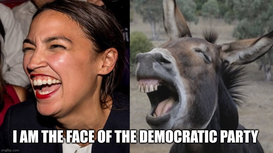 AOC DONKEY | I AM THE FACE OF THE DEMOCRATIC PARTY | image tagged in aoc donkey | made w/ Imgflip meme maker