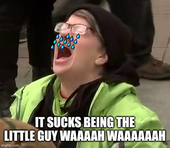 Crying liberal | IT SUCKS BEING THE LITTLE GUY WAAAAH WAAAAAAH | image tagged in crying liberal | made w/ Imgflip meme maker