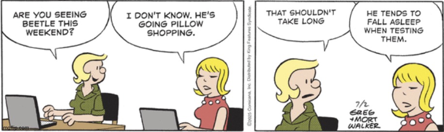 Beetle Bailey | image tagged in comics | made w/ Imgflip meme maker