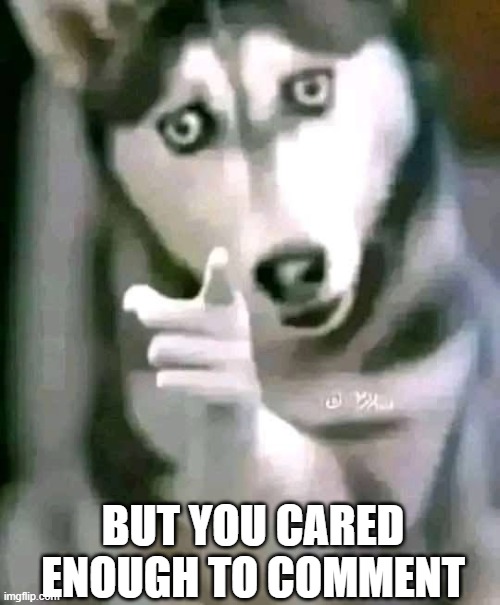 But you cared enough to comment | BUT YOU CARED ENOUGH TO COMMENT | image tagged in dog | made w/ Imgflip meme maker