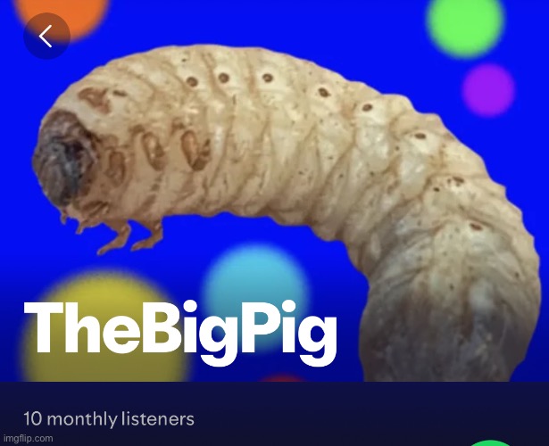 I do it all for you guys | made w/ Imgflip meme maker