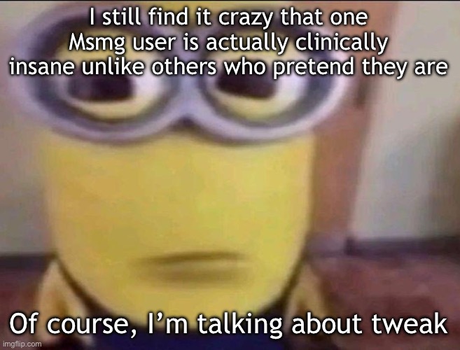 Dragging this but it’s too interesting to talk about | I still find it crazy that one Msmg user is actually clinically insane unlike others who pretend they are; Of course, I’m talking about tweak | image tagged in minion stare,msmg | made w/ Imgflip meme maker