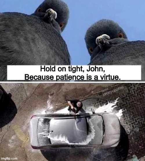 image tagged in funny animals,pigeons,shitpost,memes | made w/ Imgflip meme maker