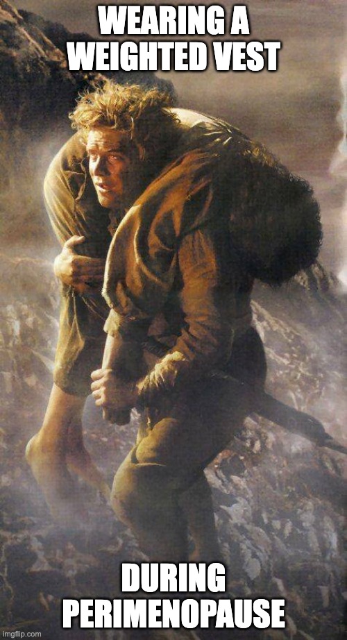 Perimenopausal Sam | WEARING A WEIGHTED VEST; DURING PERIMENOPAUSE | image tagged in samwise carrying frodo,perimenopause | made w/ Imgflip meme maker