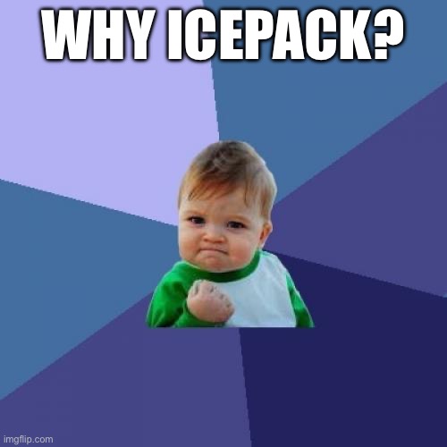 Success Kid Meme | WHY ICEPACK? | image tagged in memes,success kid | made w/ Imgflip meme maker