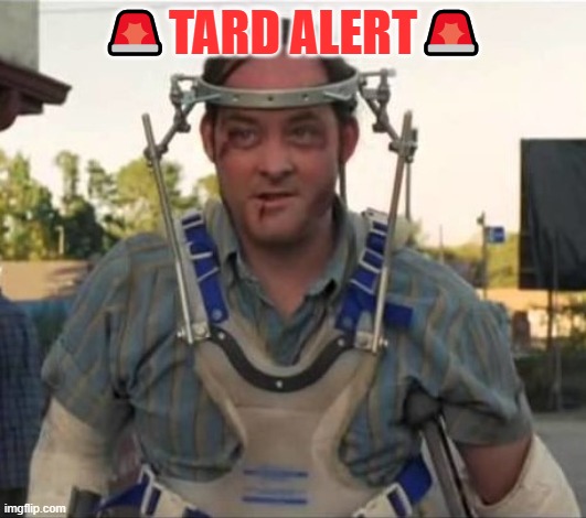 It takes a village... idiot. | 🚨TARD ALERT🚨 | image tagged in comedy | made w/ Imgflip meme maker