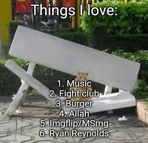 (not in particular order) | Things I love:; 1. Music
2. Fight club
3. Burger
4. Allah
5. Imgflip/MSmg
6. Ryan Reynolds | image tagged in cat on broken bench | made w/ Imgflip meme maker