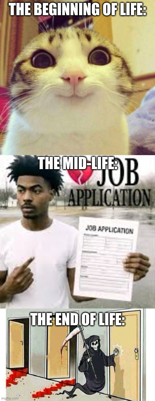 THE BEGINNING OF LIFE: THE MID-LIFE: THE END OF LIFE: | made w/ Imgflip meme maker