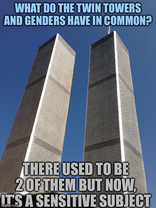 Exploded in both ways… | WHAT DO THE TWIN TOWERS AND GENDERS HAVE IN COMMON? THERE USED TO BE 2 OF THEM BUT NOW, IT’S A SENSITIVE SUBJECT | image tagged in twin towers,dark humor,fuck gays,why is it about pride again,why am i talking to myself in tags | made w/ Imgflip meme maker