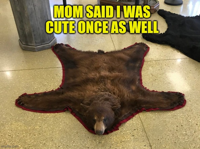 Bearskin rug | MOM SAID I WAS CUTE ONCE AS WELL | image tagged in bearskin rug | made w/ Imgflip meme maker
