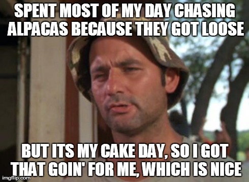 So I Got That Goin For Me Which Is Nice | SPENT MOST OF MY DAY CHASING ALPACAS BECAUSE THEY GOT LOOSE BUT ITS MY CAKE DAY, SO I GOT THAT GOIN' FOR ME, WHICH IS NICE | image tagged in memes,so i got that goin for me which is nice,AdviceAnimals | made w/ Imgflip meme maker