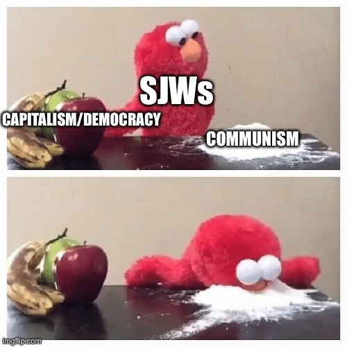 Literally Any SJW | SJWs; COMMUNISM; CAPITALISM/DEMOCRACY | image tagged in elmo fruit vs sugar | made w/ Imgflip meme maker