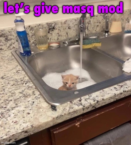 she can fix this stream | let’s give masq mod | image tagged in baf | made w/ Imgflip meme maker