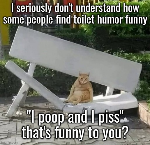 cat on broken bench | I seriously don't understand how
some people find toilet humor funny; "I poop and I piss" that's funny to you? | image tagged in cat on broken bench | made w/ Imgflip meme maker