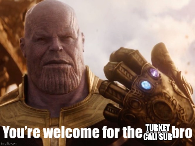 You’re welcome for the link bro | TURKEY CALI SUB | image tagged in you re welcome for the link bro | made w/ Imgflip meme maker