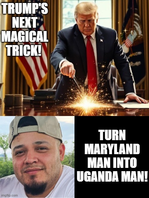 Next Magical trick? | TRUMP'S NEXT MAGICAL TRICK! TURN MARYLAND MAN INTO UGANDA MAN! | image tagged in magician | made w/ Imgflip meme maker