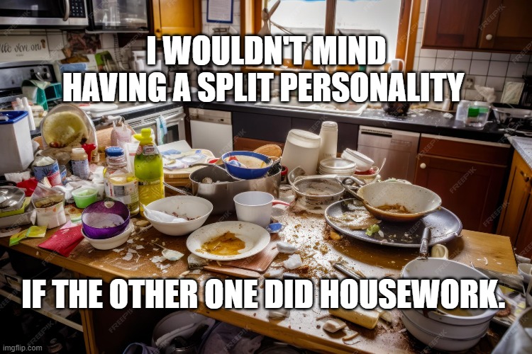 Split Personality | I WOULDN'T MIND HAVING A SPLIT PERSONALITY; IF THE OTHER ONE DID HOUSEWORK. | image tagged in split personality | made w/ Imgflip meme maker