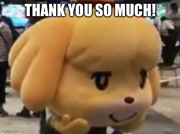 Isabelle Omg | THANK YOU SO MUCH! | image tagged in isabelle omg | made w/ Imgflip meme maker